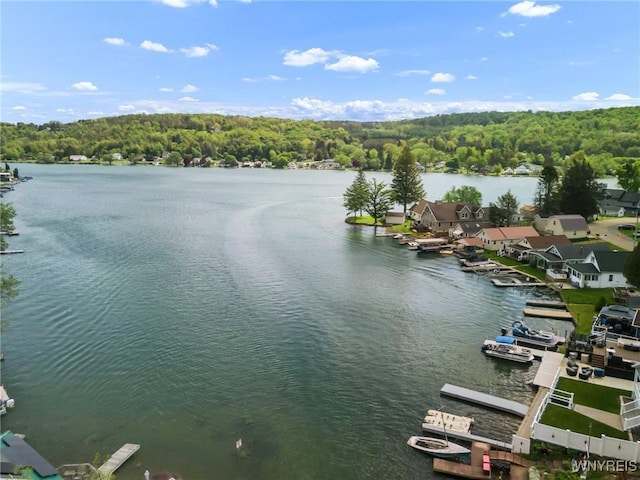 328 Lakeview Blvd, Machias, NY 14042 - water view with a heavily wooded area