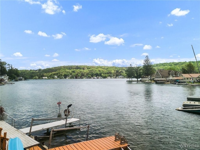 328 Lakeview Blvd, Machias, NY 14042 - dock featuring a water view