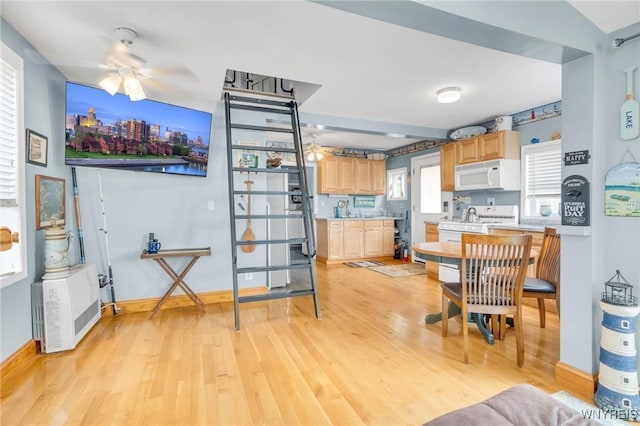 328 Lakeview Blvd, Machias, NY 14042 - dining room featuring light wood-style flooring, ceiling fan, and baseboards