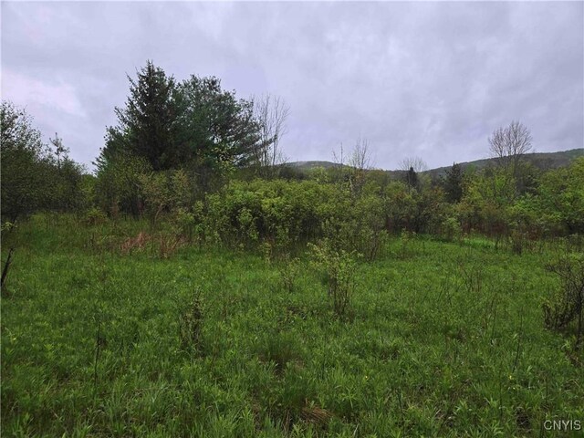 8932 Stout Rd, Cuba, NY 14727
