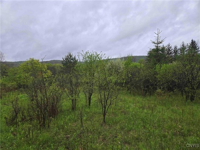 8932 Stout Rd, Cuba, NY 14727