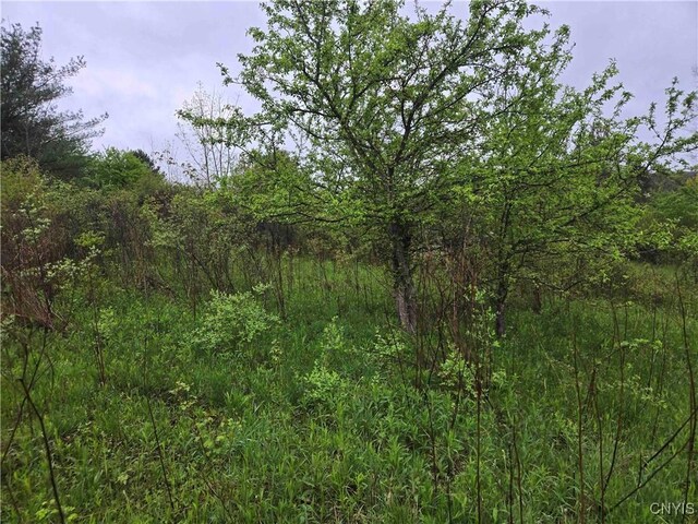 8932 Stout Rd, Cuba, NY 14727