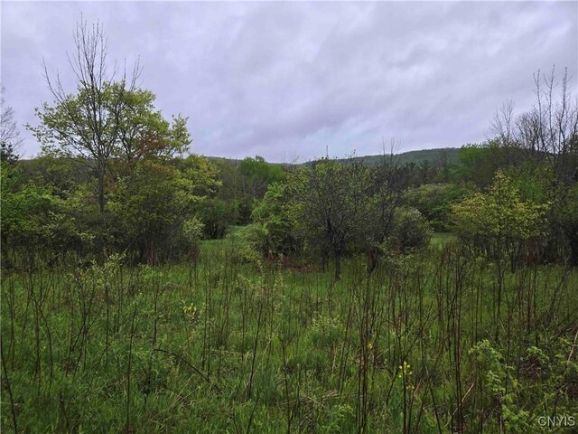8932 Stout Rd, Cuba, NY 14727