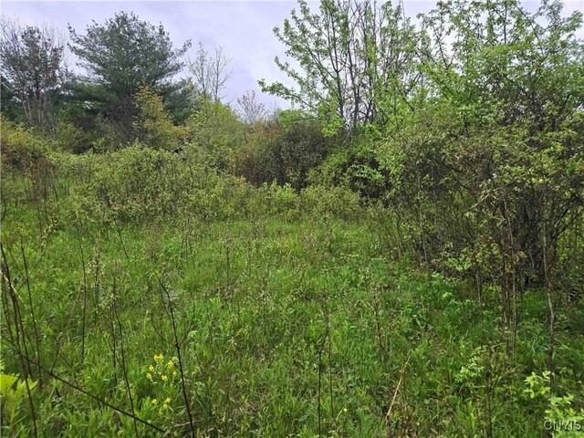 8932 Stout Rd, Cuba, NY 14727