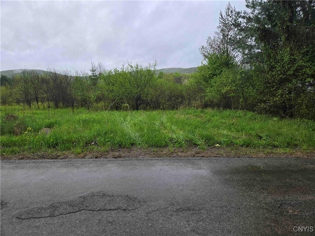 8932 Stout Rd, Cuba, NY 14727