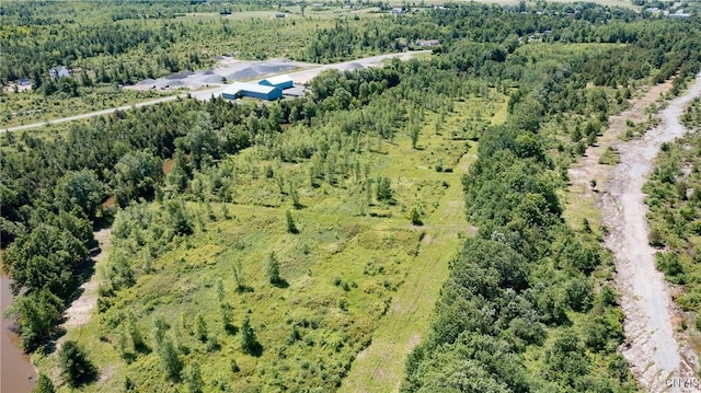 16744LOT2B Thompson Trail Dr, Brownville, NY 13634