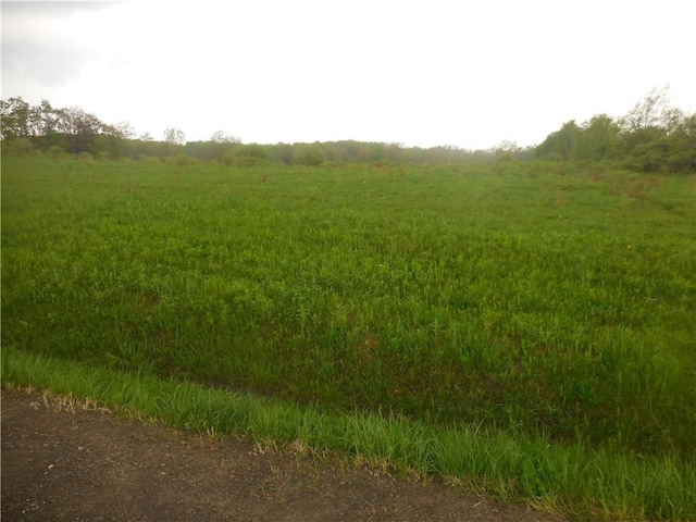 Orangeville Center Rd, Orangeville, NY 14569