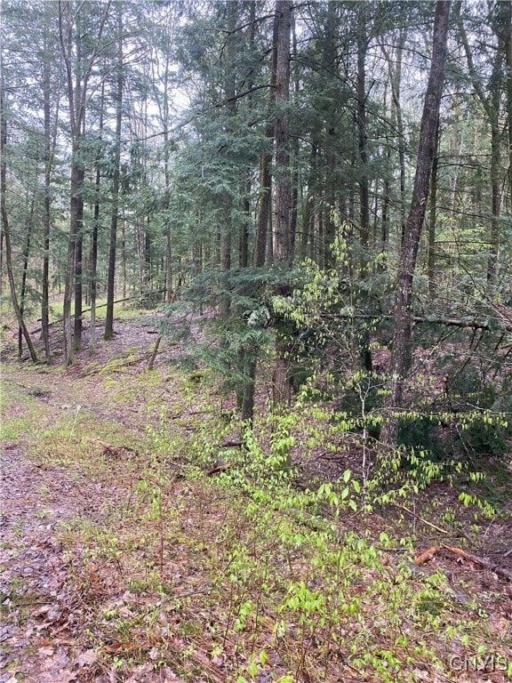 Rome-Taberg Rd, Annsville, NY 13471 - photo 1