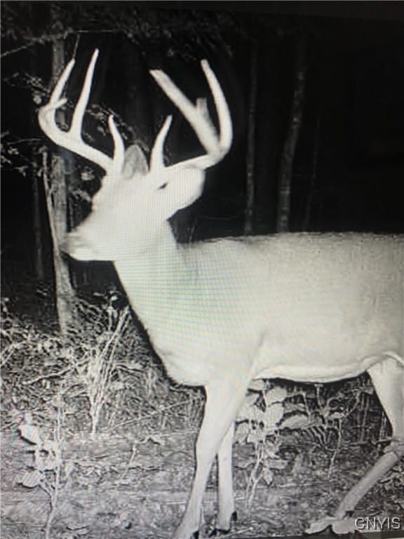 Rome-Taberg Rd, Annsville, NY 13471 - photo 2