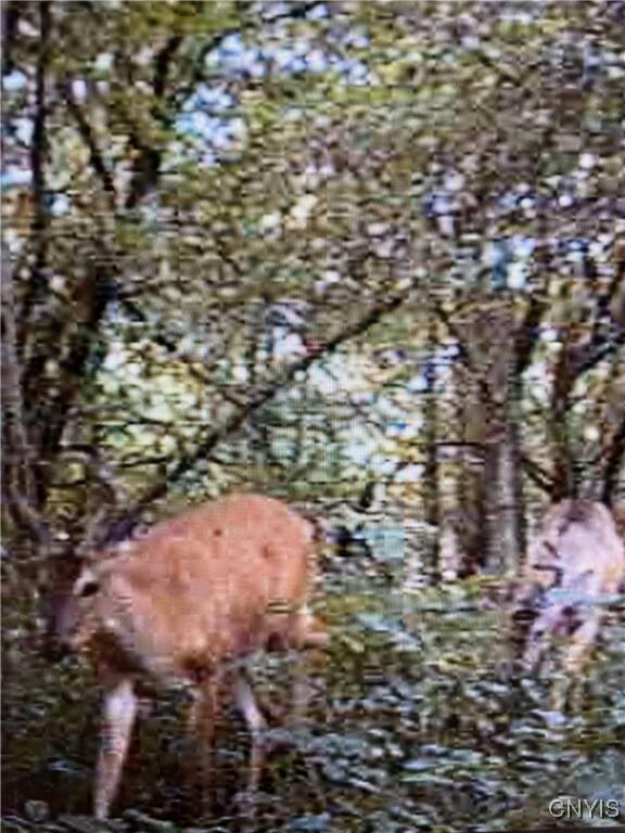 Rome-Taberg Rd, Annsville, NY 13471 - photo 5