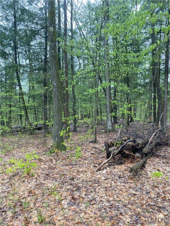 Rome-Taberg Rd, Annsville, NY 13471 - photo 6