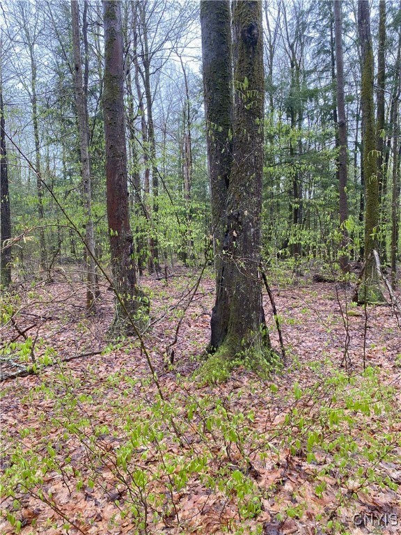 Rome-Taberg Rd, Annsville, NY 13471 - photo 7
