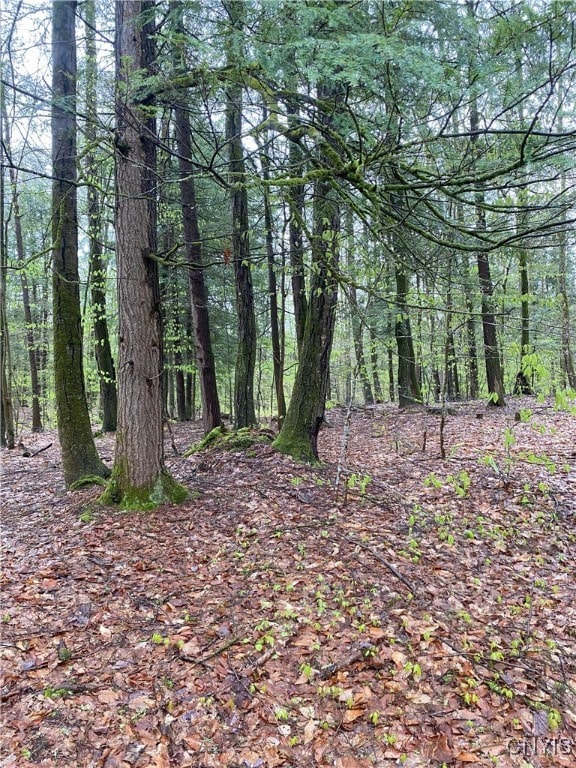 Rome-Taberg Rd, Annsville, NY 13471 - photo 8