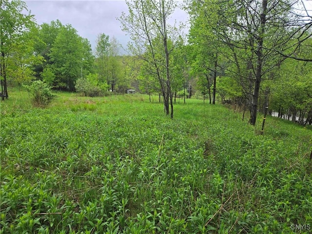 Mead Hollow Rd, Bolivar, NY 14754 - photo 1