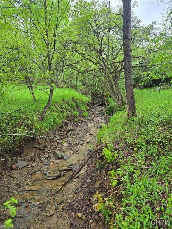 Mead Hollow Rd, Bolivar, NY 14754 - photo 5