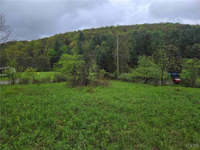 Mead Hollow Rd, Bolivar, NY 14754 - photo 6