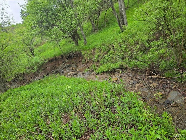 Mead Hollow Rd, Bolivar, NY 14754 - photo 9