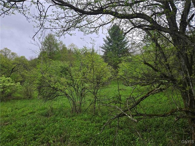 Mead Hollow Rd, Bolivar, NY 14754 - photo 11