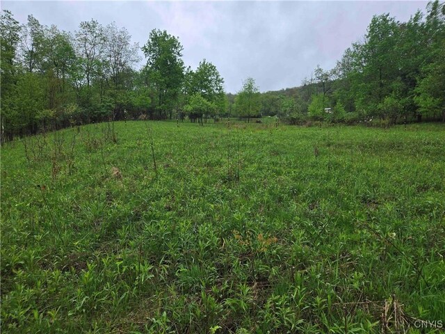 Mead Hollow Rd, Bolivar, NY 14754 - photo 12