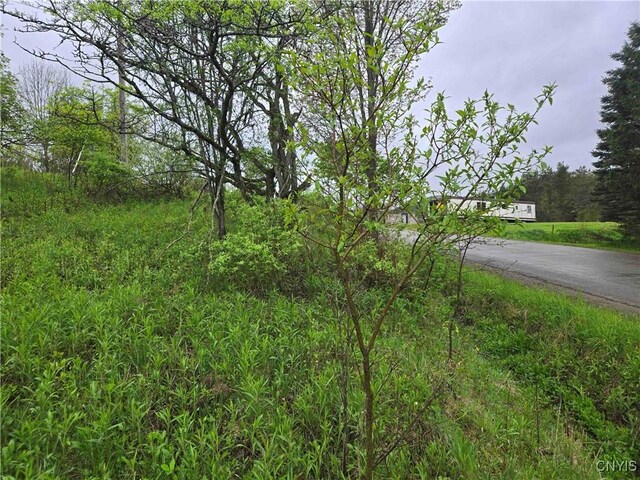 Mead Hollow Rd, Bolivar, NY 14754 - photo 15