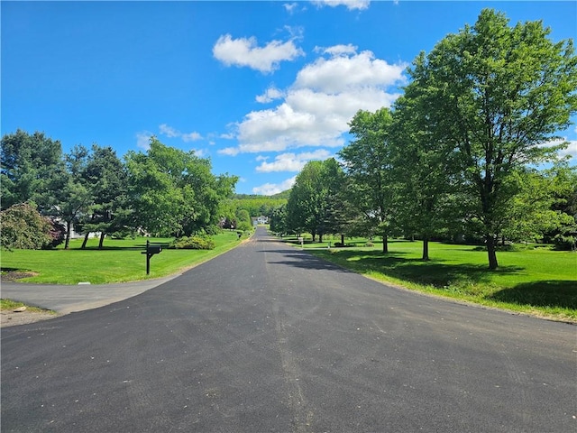 1 Woodsview Dr, Big Flats, NY 14903 - view of asphalt street with view of wooded area
