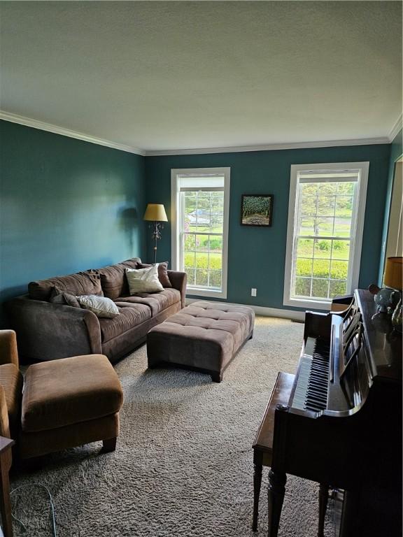 1 Woodsview Dr, Big Flats, NY 14903 - carpeted living area with ornamental molding and baseboards