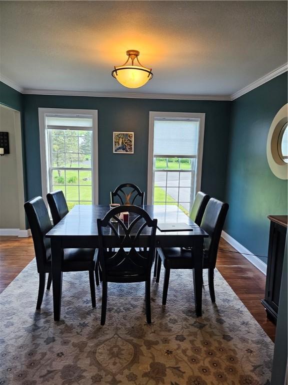 1 Woodsview Dr, Big Flats, NY 14903 - dining room featuring healthy amount of natural light, dark wood finished floors, ornamental molding, and baseboards