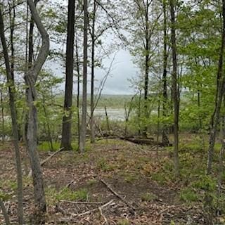 3384 Huggins Rd, Tyrone, NY 14815 - view of local wilderness