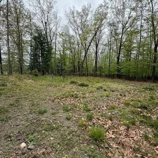 3384 Huggins Rd, Tyrone, NY 14815 - view of undeveloped land