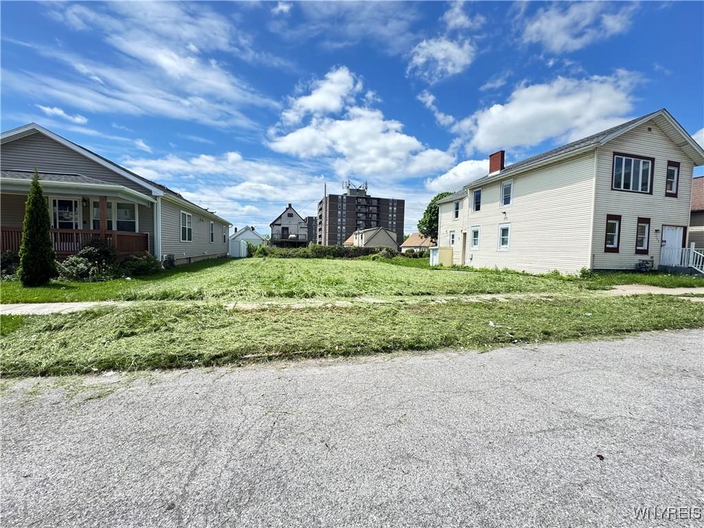 318 Trenton Ave, Buffalo, NY 14201 - photo 3