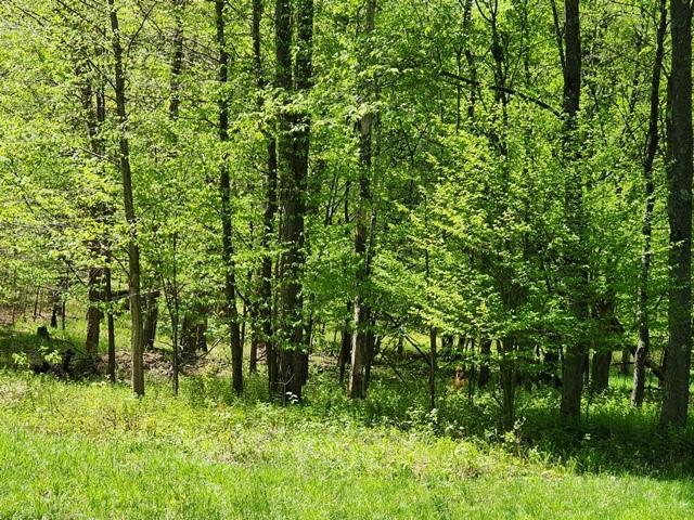 2564 Moore Hill Rd, Shippen Twp, PA 15834 - photo 19