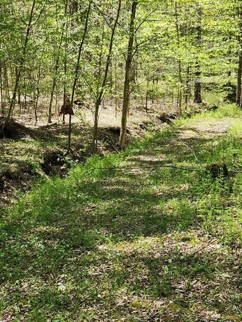 2564 Moore Hill Rd, Shippen Twp, PA 15834 - photo 20