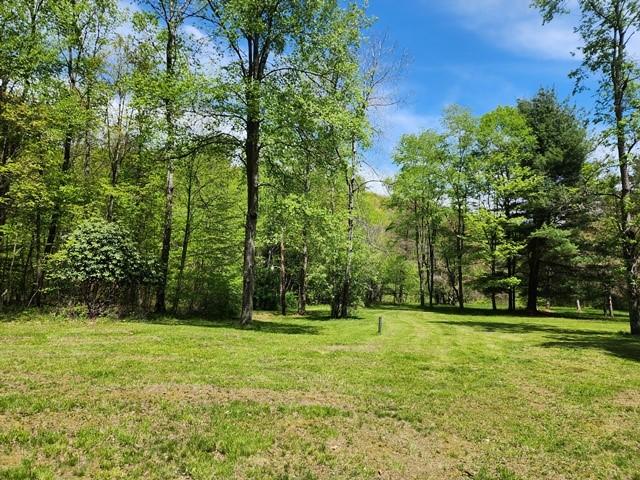 2564 Moore Hill Rd, Shippen Twp, PA 15834 - photo 21