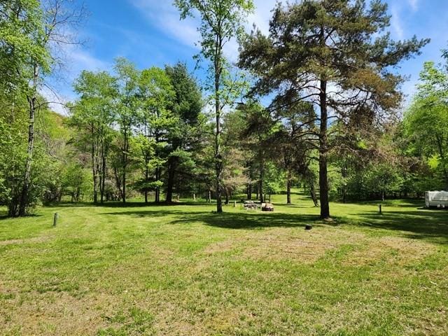 2564 Moore Hill Rd, Shippen Twp, PA 15834 - photo 22