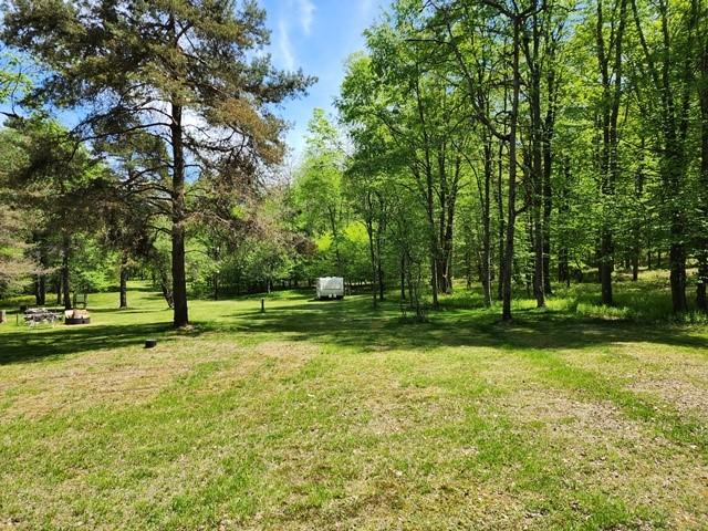 2564 Moore Hill Rd, Shippen Twp, PA 15834 - photo 23