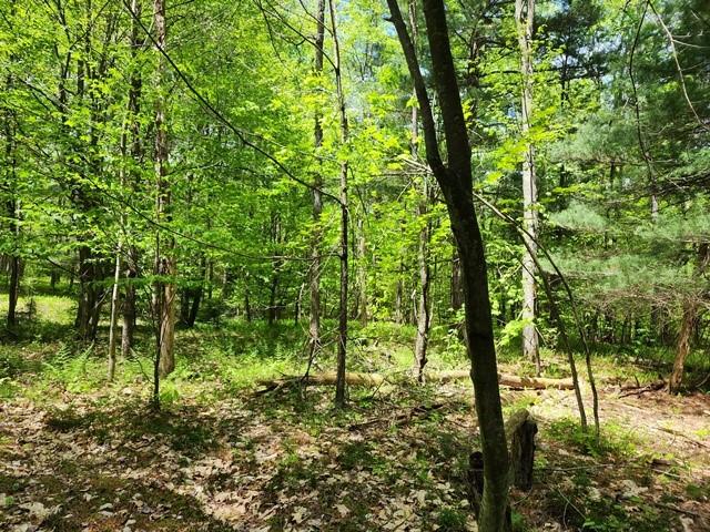 2564 Moore Hill Rd, Shippen Twp, PA 15834 - photo 27