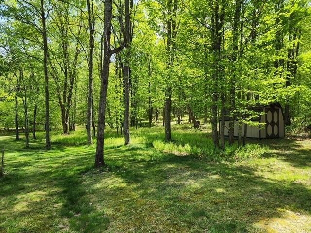 2564 Moore Hill Rd, Shippen Twp, PA 15834 - photo 30