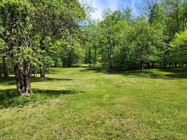 2564 Moore Hill Rd, Shippen Twp, PA 15834 - photo 32