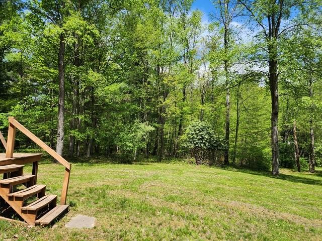 2564 Moore Hill Rd, Shippen Twp, PA 15834 - photo 35