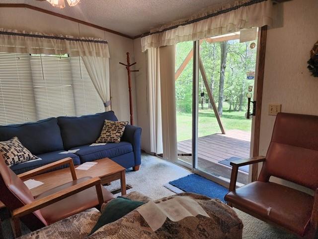 2564 Moore Hill Rd, Shippen Twp, PA 15834 - photo 42