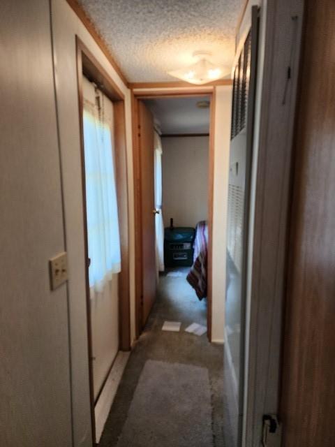2564 Moore Hill Rd, Shippen Twp, PA 15834 - photo 45