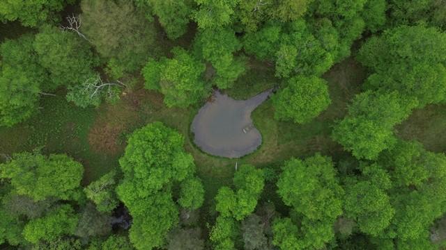 2564 Moore Hill Rd, Shippen Twp, PA 15834 - photo 4