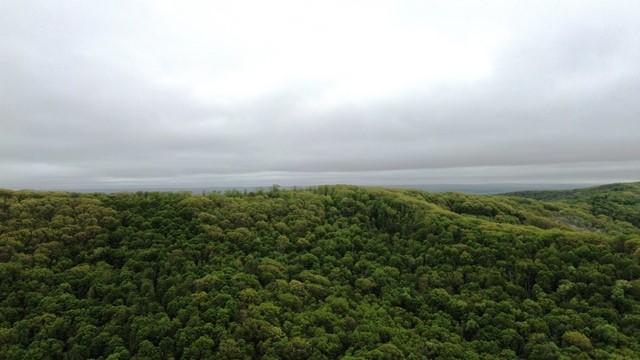 2564 Moore Hill Rd, Shippen Twp, PA 15834 - photo 5