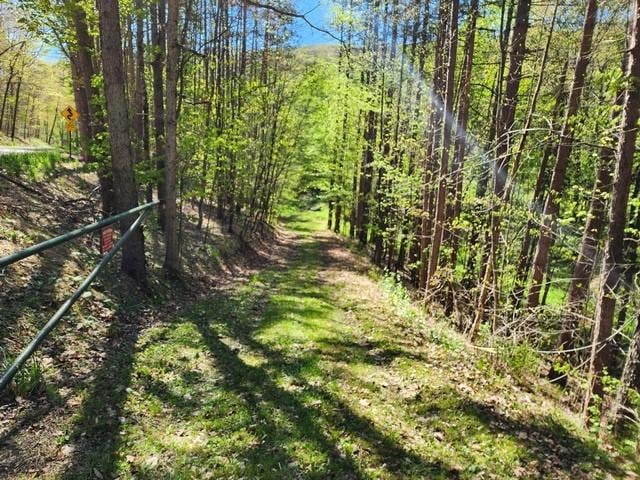 2564 Moore Hill Rd, Shippen Twp, PA 15834 - photo 8