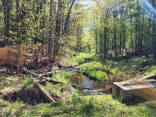 2564 Moore Hill Rd, Shippen Twp, PA 15834 - photo 10