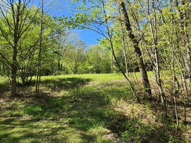2564 Moore Hill Rd, Shippen Twp, PA 15834 - photo 11