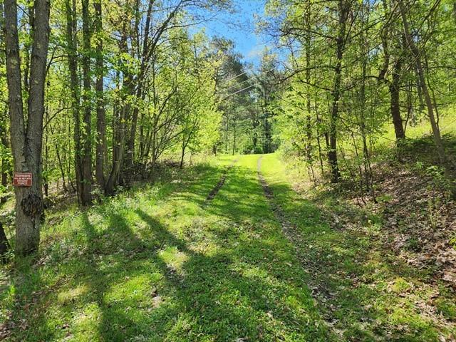 2564 Moore Hill Rd, Shippen Twp, PA 15834 - photo 12