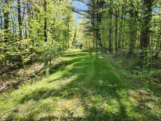 2564 Moore Hill Rd, Shippen Twp, PA 15834 - photo 13