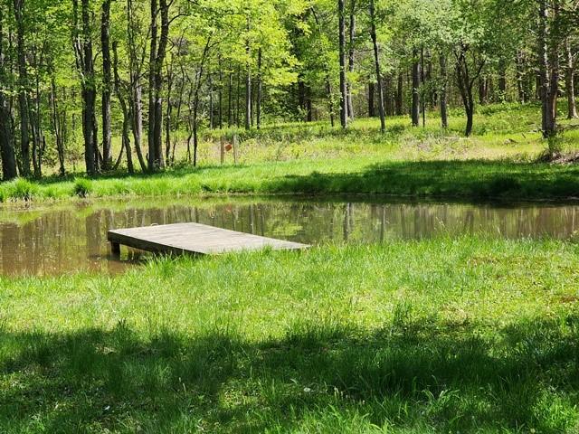 2564 Moore Hill Rd, Shippen Twp, PA 15834 - photo 15