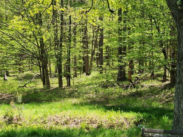 2564 Moore Hill Rd, Shippen Twp, PA 15834 - photo 16